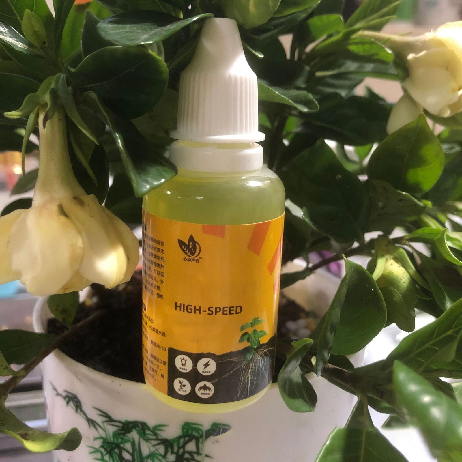 50ml Plant Wroeten Stimulator  - Root Stimulator Liquid recensie en prijs